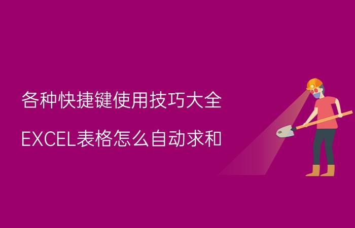 各种快捷键使用技巧大全 EXCEL表格怎么自动求和？